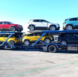 zichella-63 zichella-63